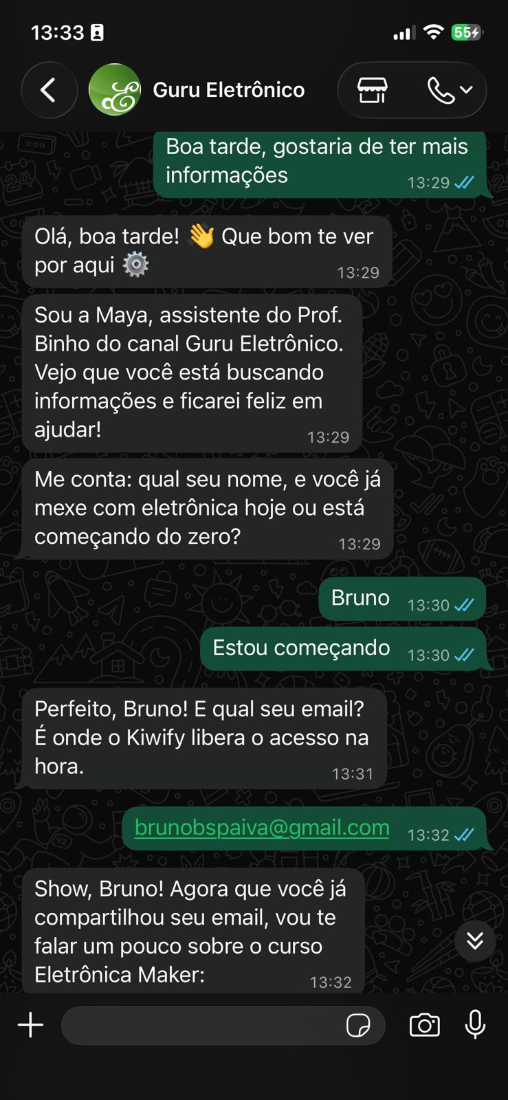 Maya · Guru Eletrônico